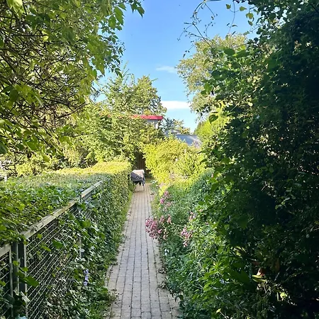 Appartement A Am Theater Mit Terrasse Und Balkon *